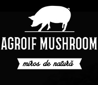 Agroif Mushroom -     