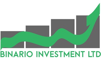 Binario Investment ltd         