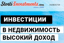 Storti Investments com      