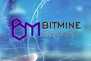 Bitmine Group       