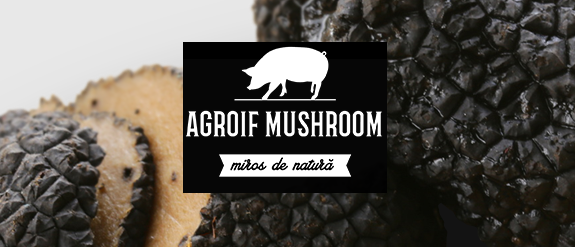 Agroif Mushroom    