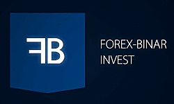 ForexBinar – отзывы о разумных инвестициях в доверительное управление
