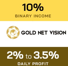 Gold Net Vision – иностранный МЛМ проект на перспективу с доходностью от 2% в сутки