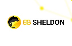 BB Sheldon Com – новый зарубежный гигант с хорошими перспективами для заработка