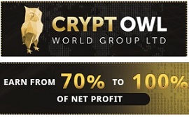 Cryptowl Group – качественный проект на самописном скрипте с доходностью до 3,5% в сутки.
