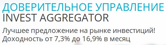 Invest Aggregator   17% 